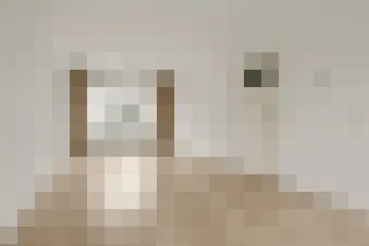 Berkenlaan 7 Sassenheim thumbnail 11