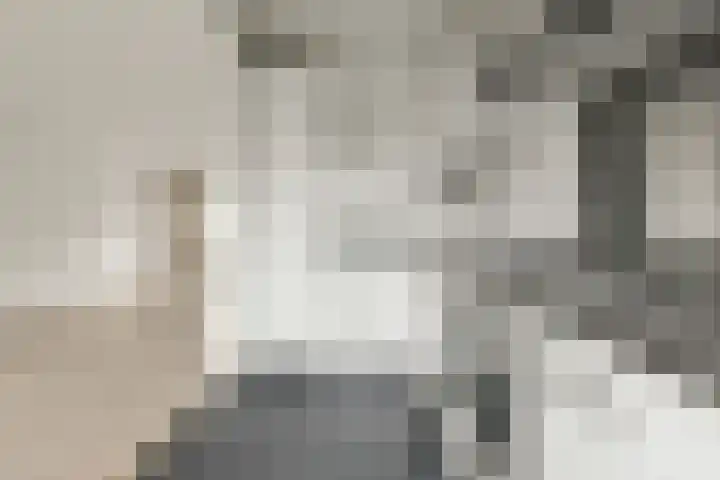 Berkenlaan 7 Sassenheim thumbnail 18