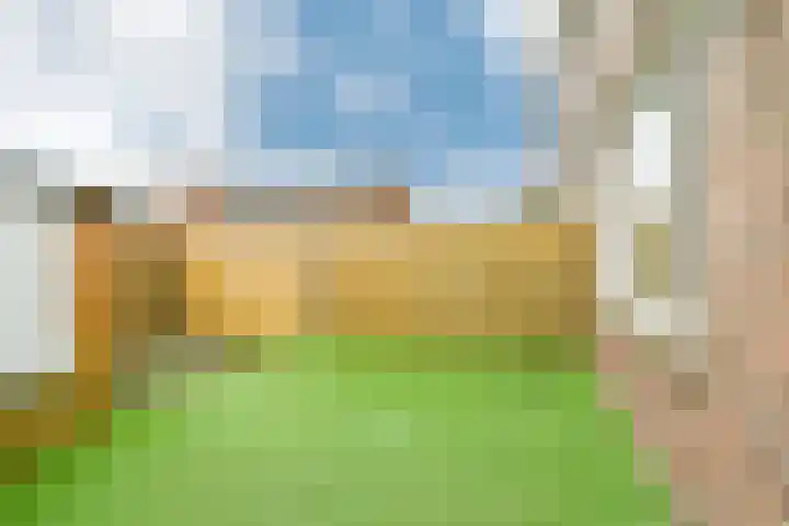 Berkenlaan 7 Sassenheim thumbnail 19