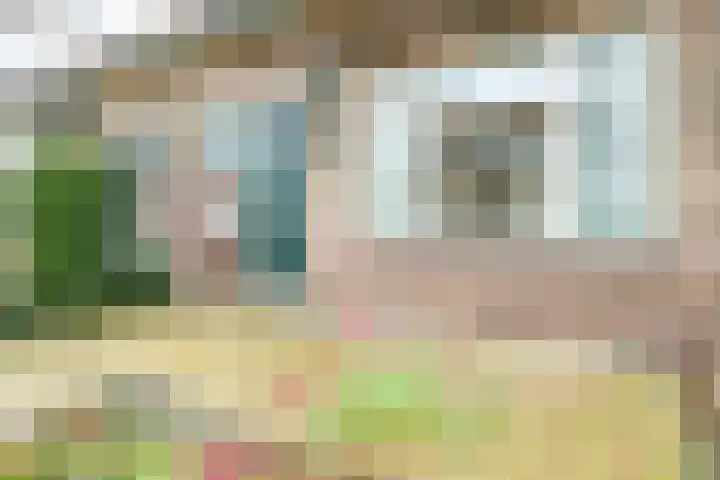Berkenlaan 7 Sassenheim thumbnail 6