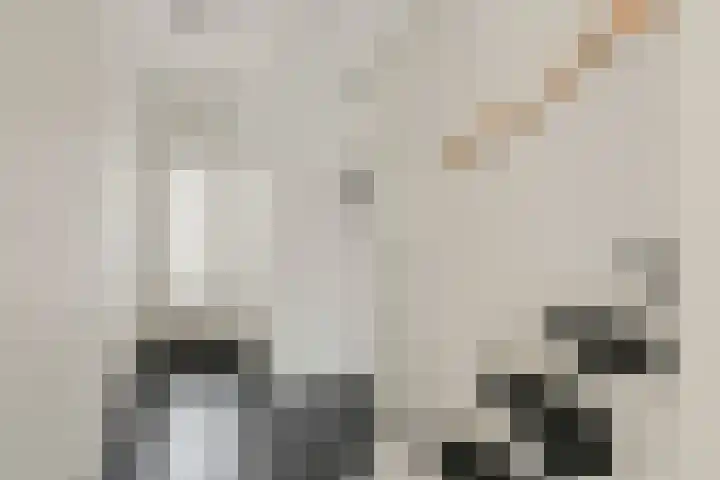 Berkenlaan 7 Sassenheim thumbnail 7