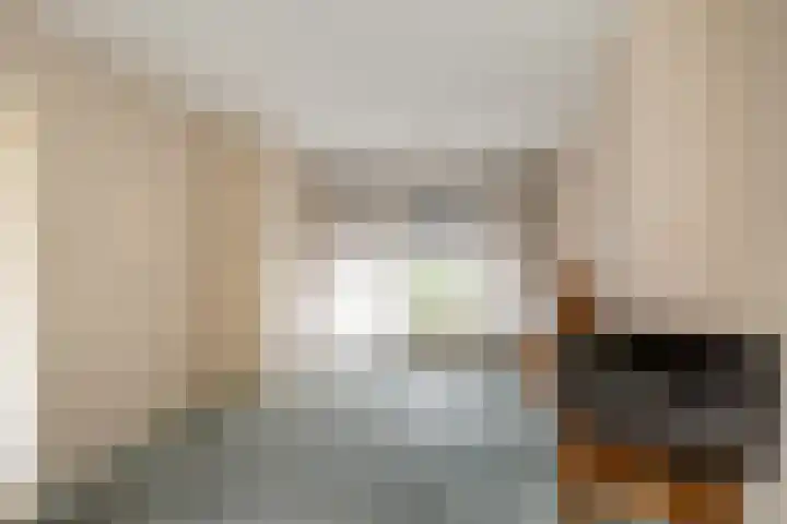 Berkenlaan 7 Schiedam thumbnail 10
