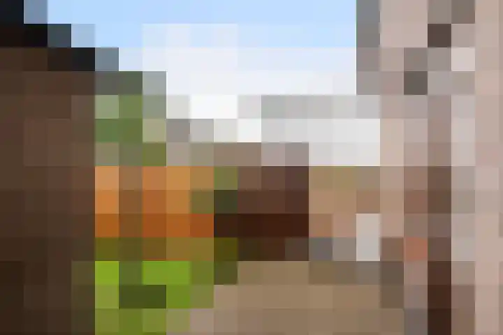 Berkenlaan 7 Schiedam thumbnail 13