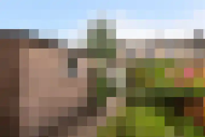 Berkenlaan 7 Schiedam thumbnail 14