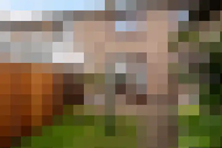 Berkenlaan 7 Schiedam thumbnail 16
