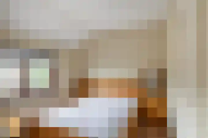 Berkenlaan 7 Schiedam thumbnail 4