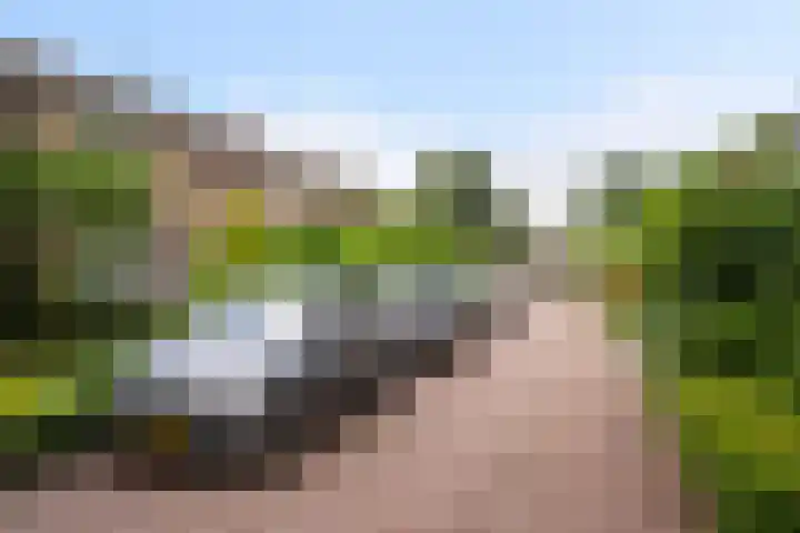 Berkenlaan 7 Schiedam thumbnail 5