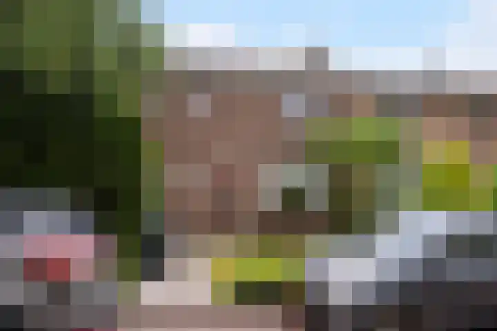 Berkenlaan 7 Schiedam thumbnail 6