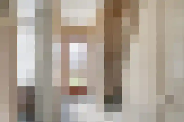 Berkenlaan 7 Schiedam thumbnail 8