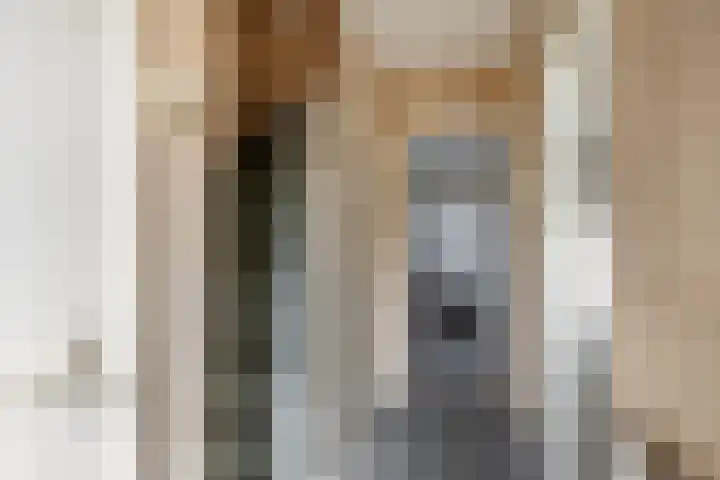 Berkenlaan 7 Schiedam thumbnail 9