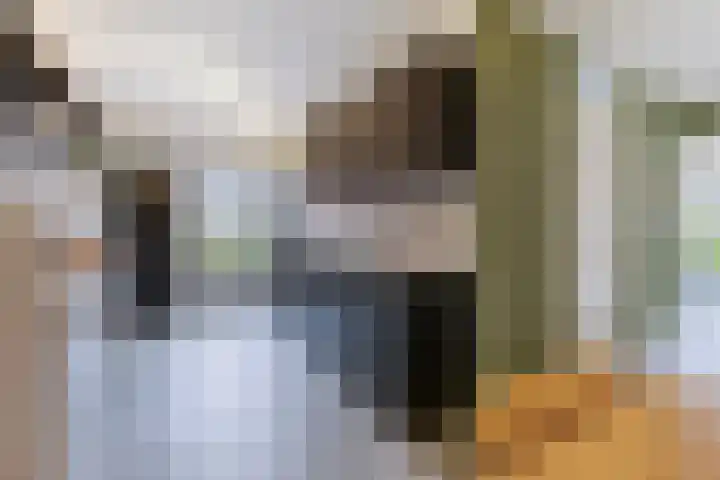 Berkenlaan 7 Zaandam thumbnail 10