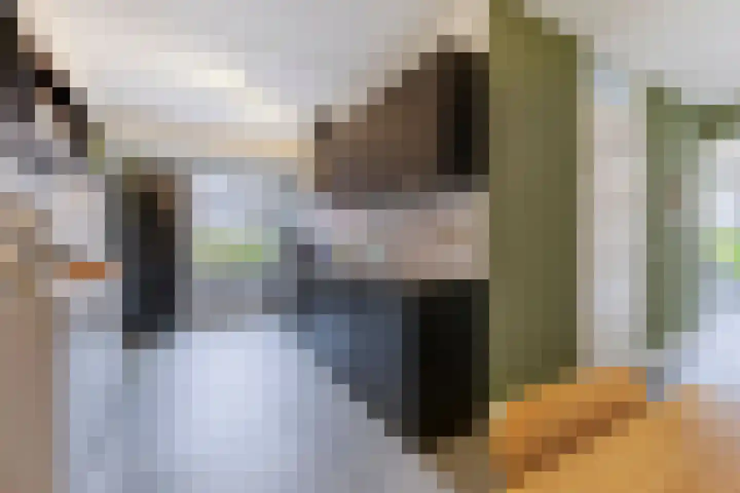 Berkenlaan 7 Zaandam thumbnail 10