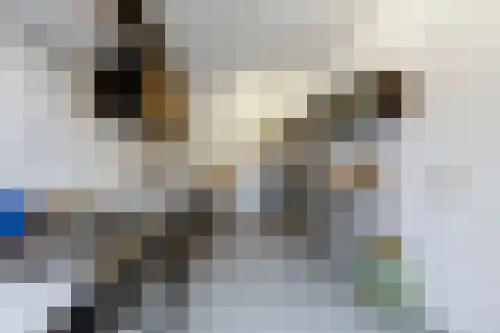 Berkenlaan 7 Zaandam thumbnail 12