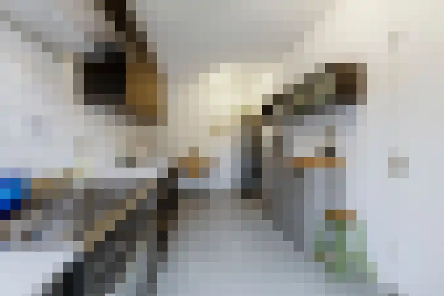 Berkenlaan 7 Zaandam thumbnail 12