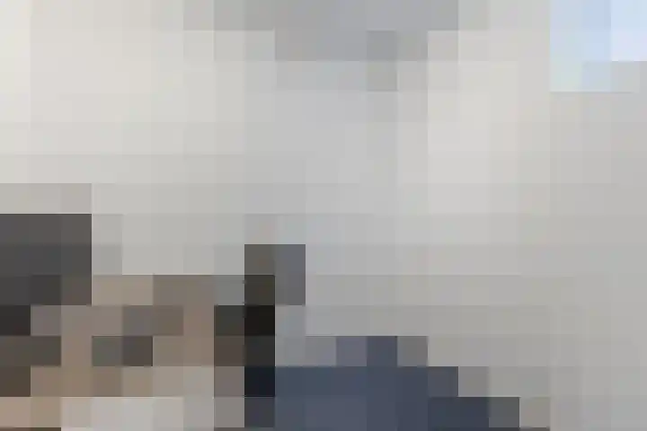 Berkenlaan 7 Zaandam thumbnail 13