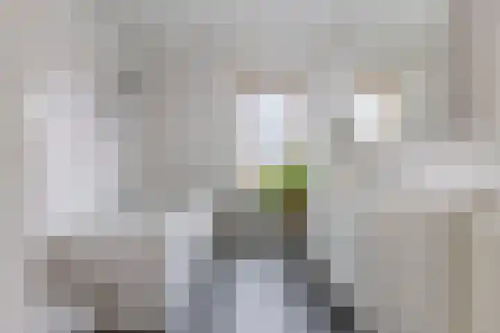 Berkenlaan 7 Zaandam thumbnail 20