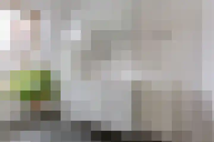 Berkenlaan 7 Zaandam thumbnail 22