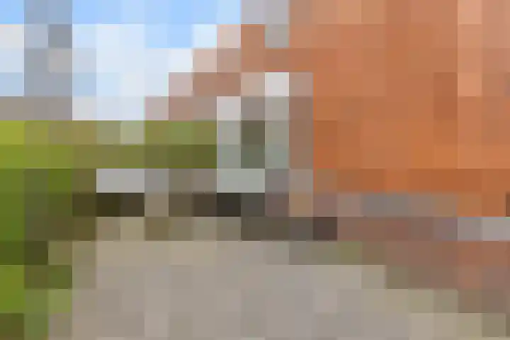 Berkenlaan 7 Zaandam thumbnail 26