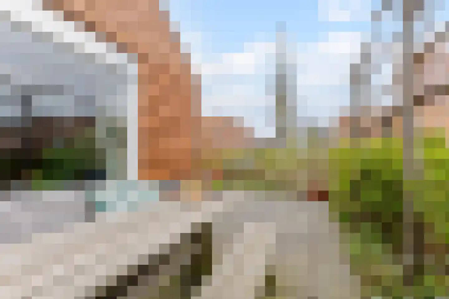 Berkenlaan 7 Zaandam thumbnail 27