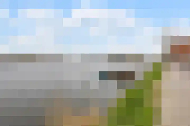 Berkenlaan 7 Zaandam thumbnail 29