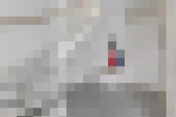 Berkenlaan 7 Zaandam thumbnail 5