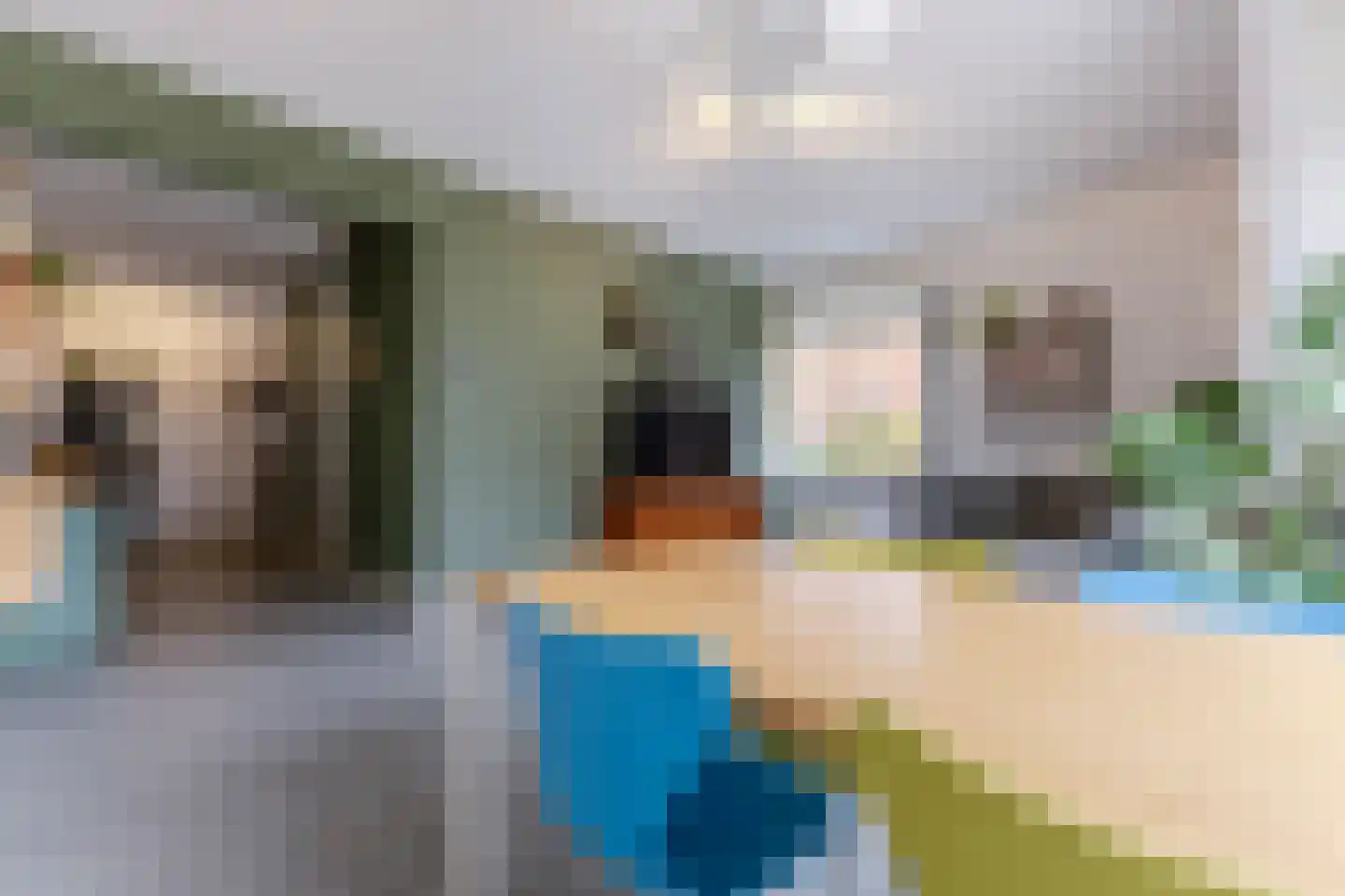 Berkenlaan 7 Zaandam thumbnail 7