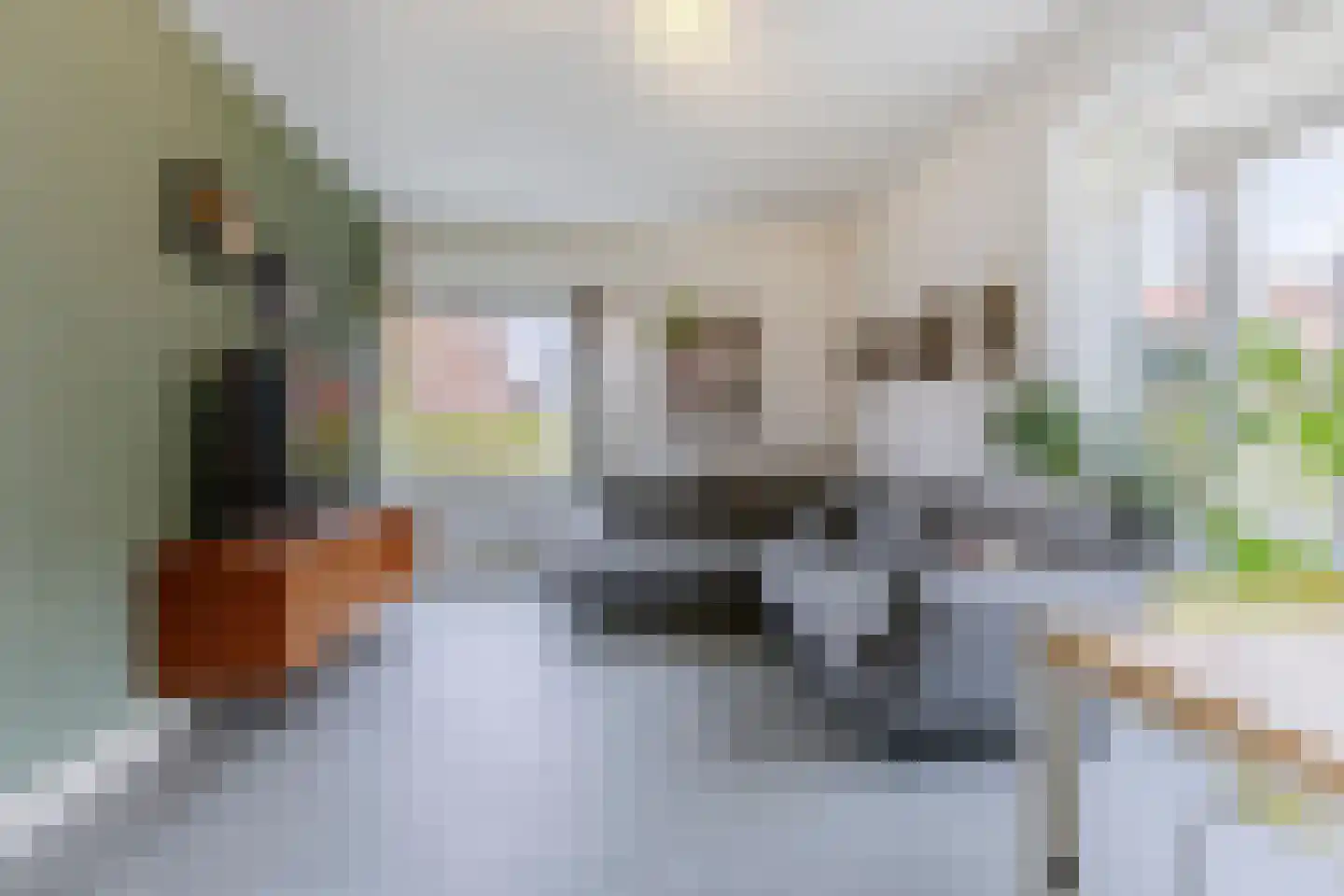 Berkenlaan 7 Zaandam thumbnail 8