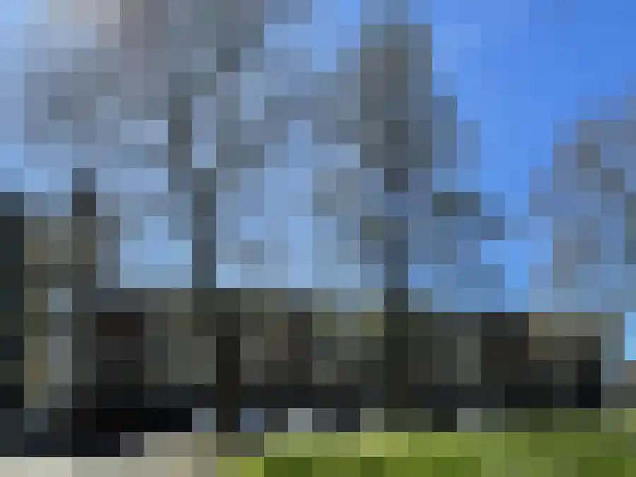 Berkenlaan in Zutphen