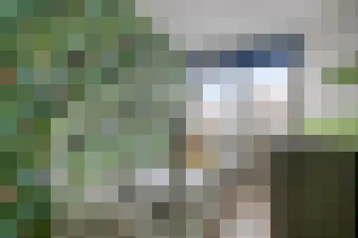 Berkenlaan 78 Harmelen thumbnail 16