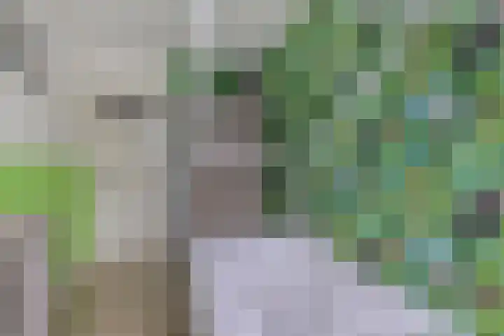 Berkenlaan 78 Harmelen thumbnail 17