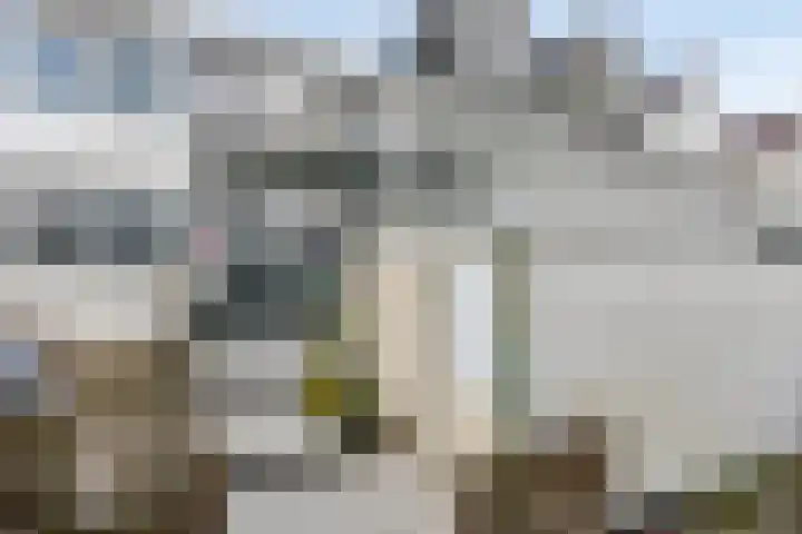 Berkenlaan 78 Harmelen thumbnail 25
