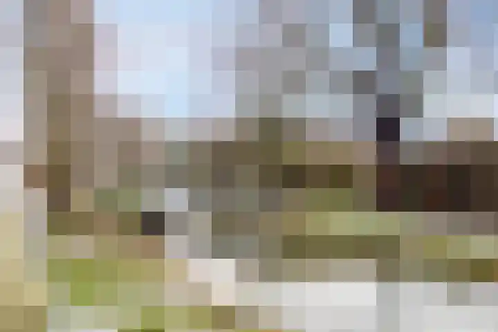 Berkenlaan 78 Harmelen thumbnail 29