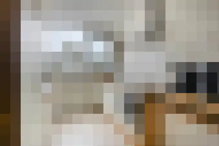 Berkenlaan 78 Harmelen thumbnail 5