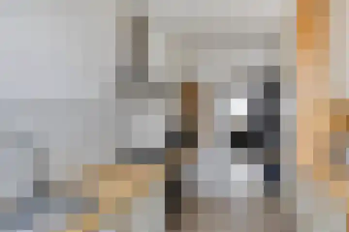 Berkenlaan 78 Harmelen thumbnail 6