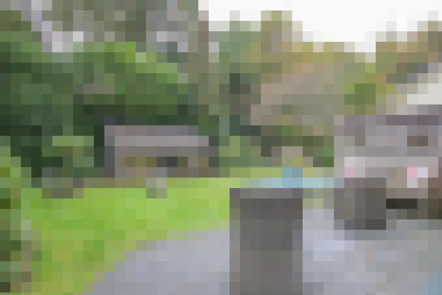Berkenlaan 8 a Maarn thumbnail 37