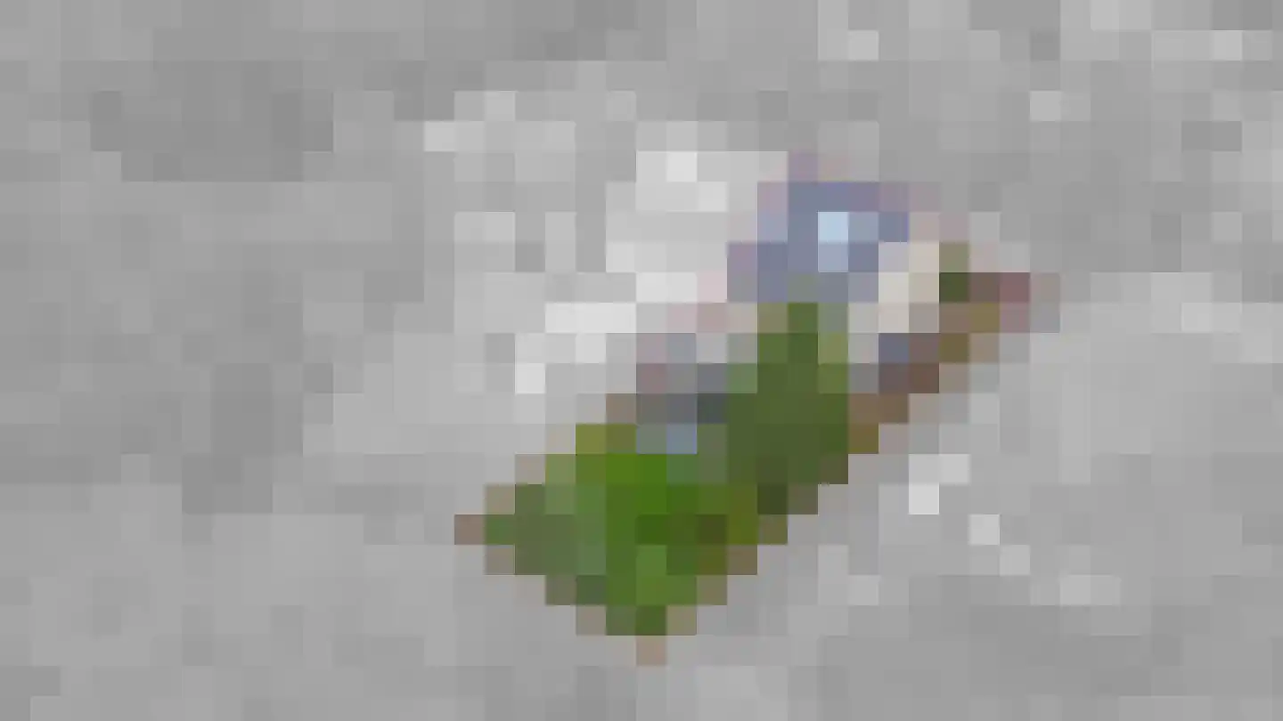 Berkenlaan 8 a Maarn thumbnail 40