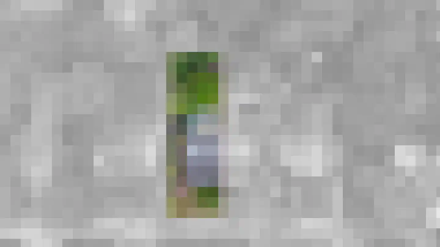 Berkenlaan 8 a Maarn thumbnail 41