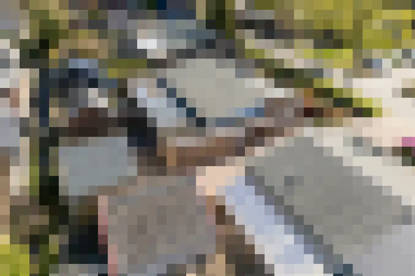 Berkenlaan 8 Buitenpost thumbnail 10