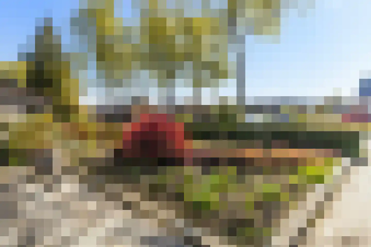 Berkenlaan 8 Buitenpost thumbnail 16