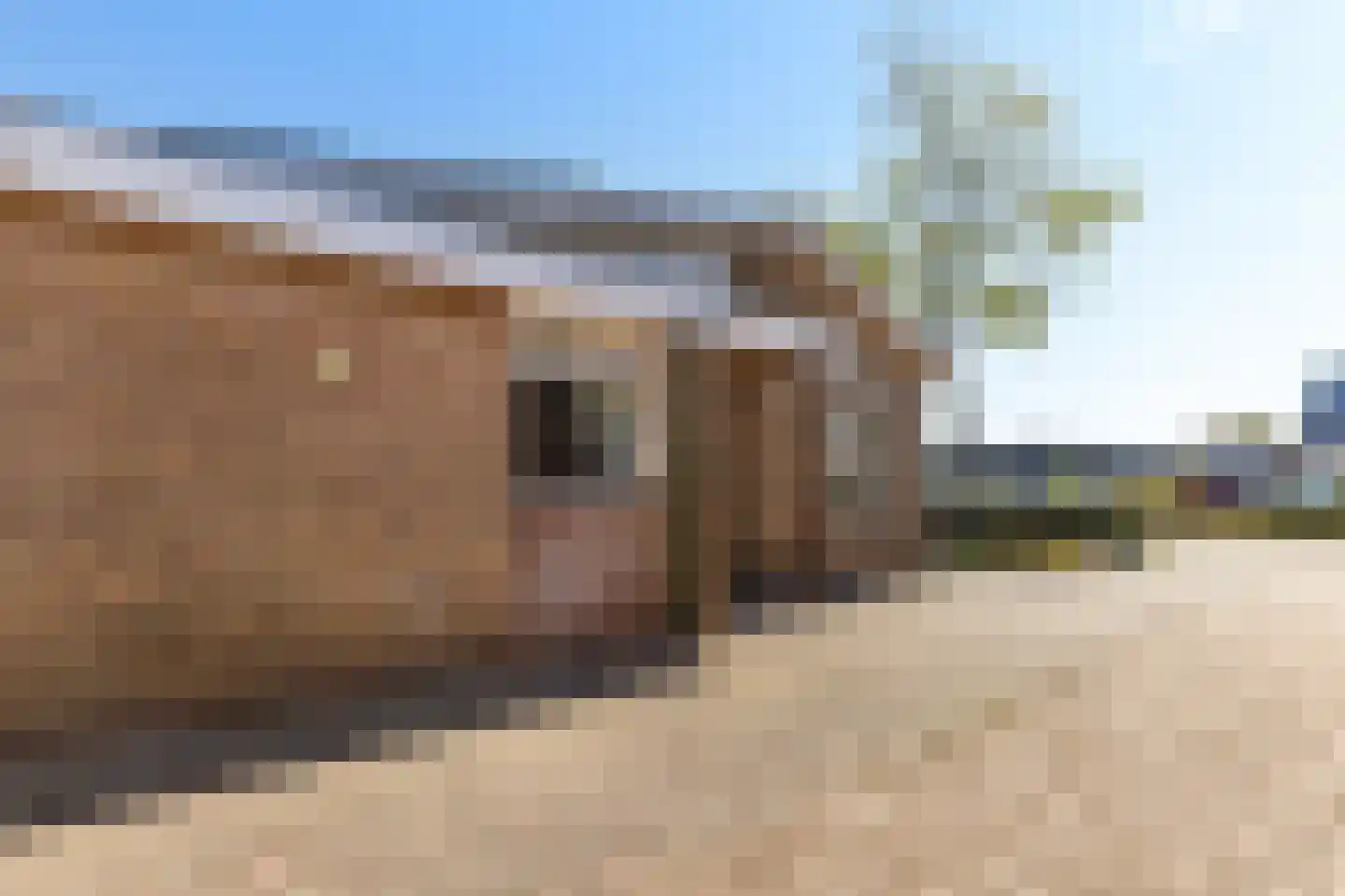 Berkenlaan 8 Buitenpost thumbnail 17
