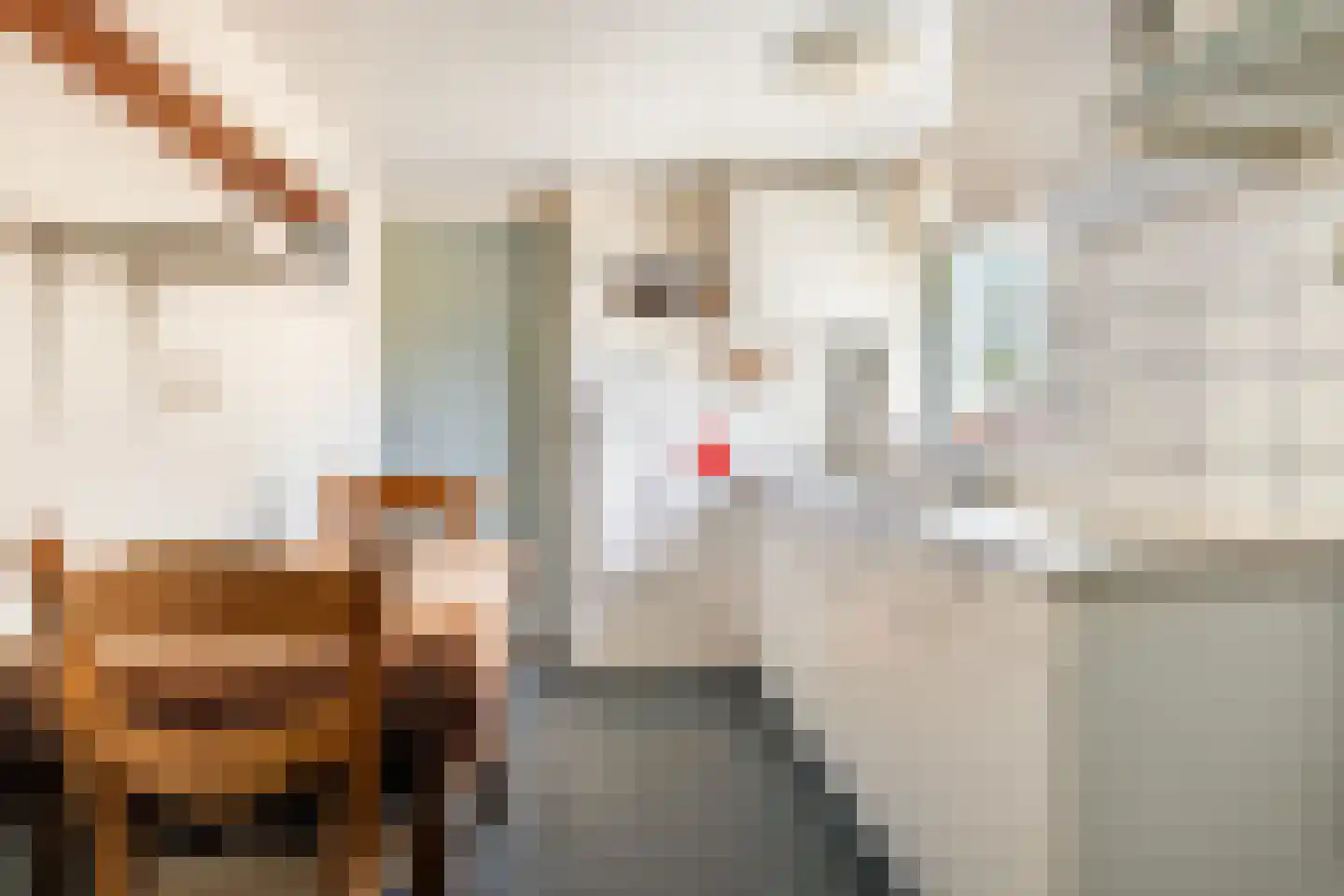 Berkenlaan 8 Buitenpost thumbnail 26