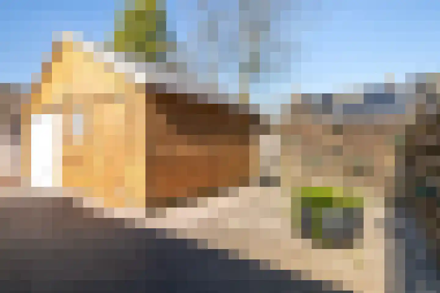Berkenlaan 8 Buitenpost foto 3
