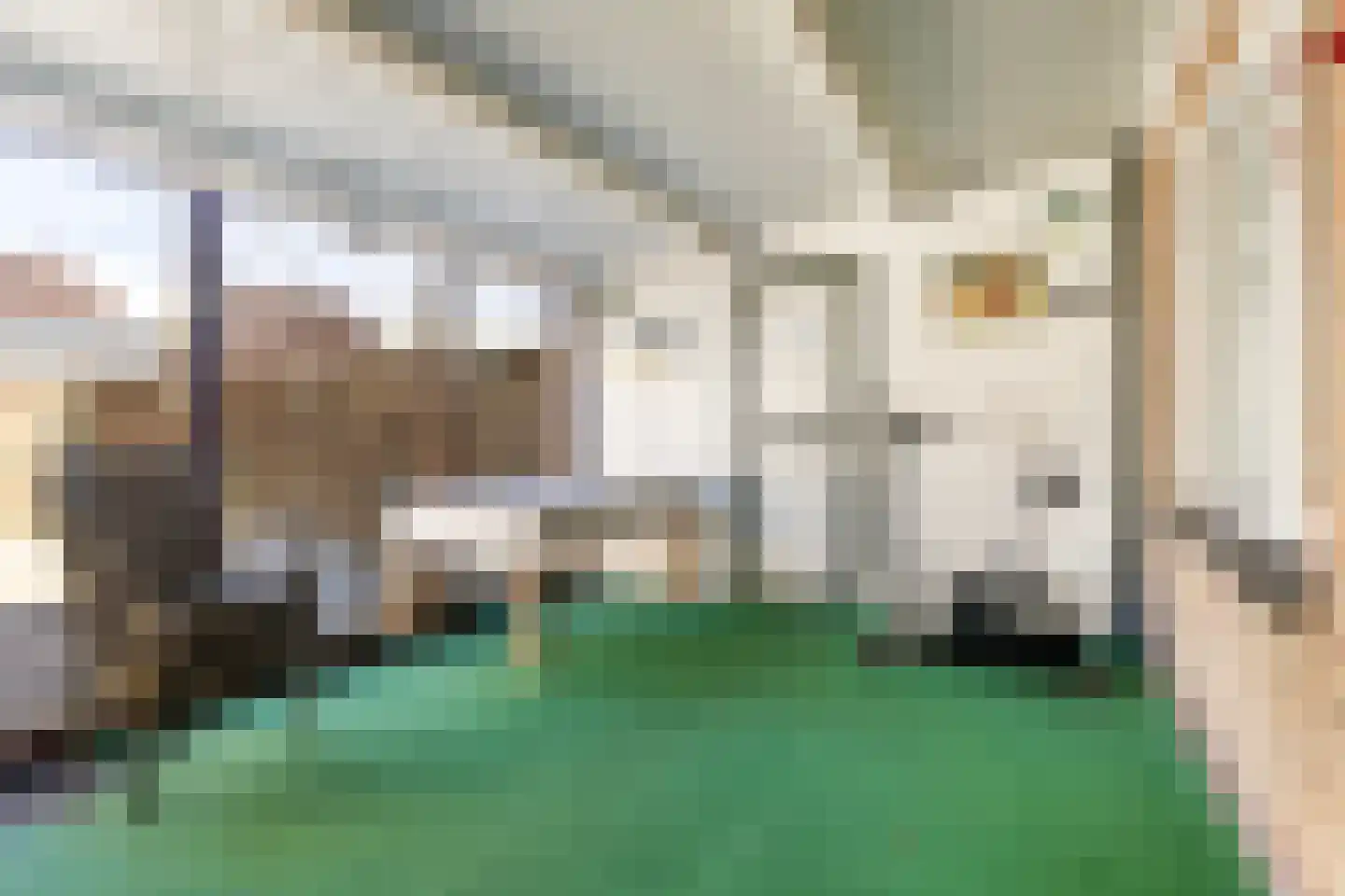 Berkenlaan 8 Buitenpost thumbnail 32