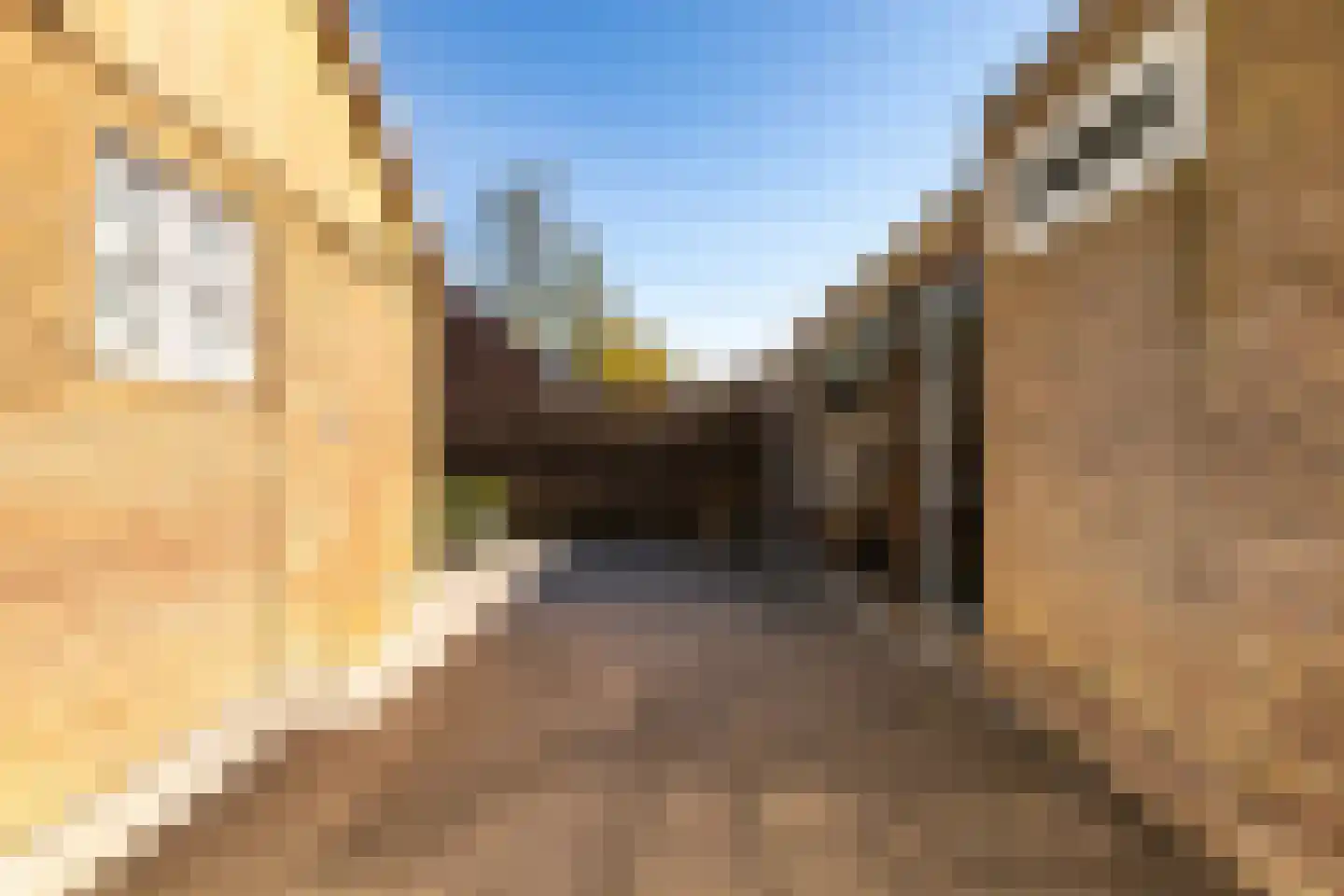 Berkenlaan 8 Buitenpost thumbnail 38