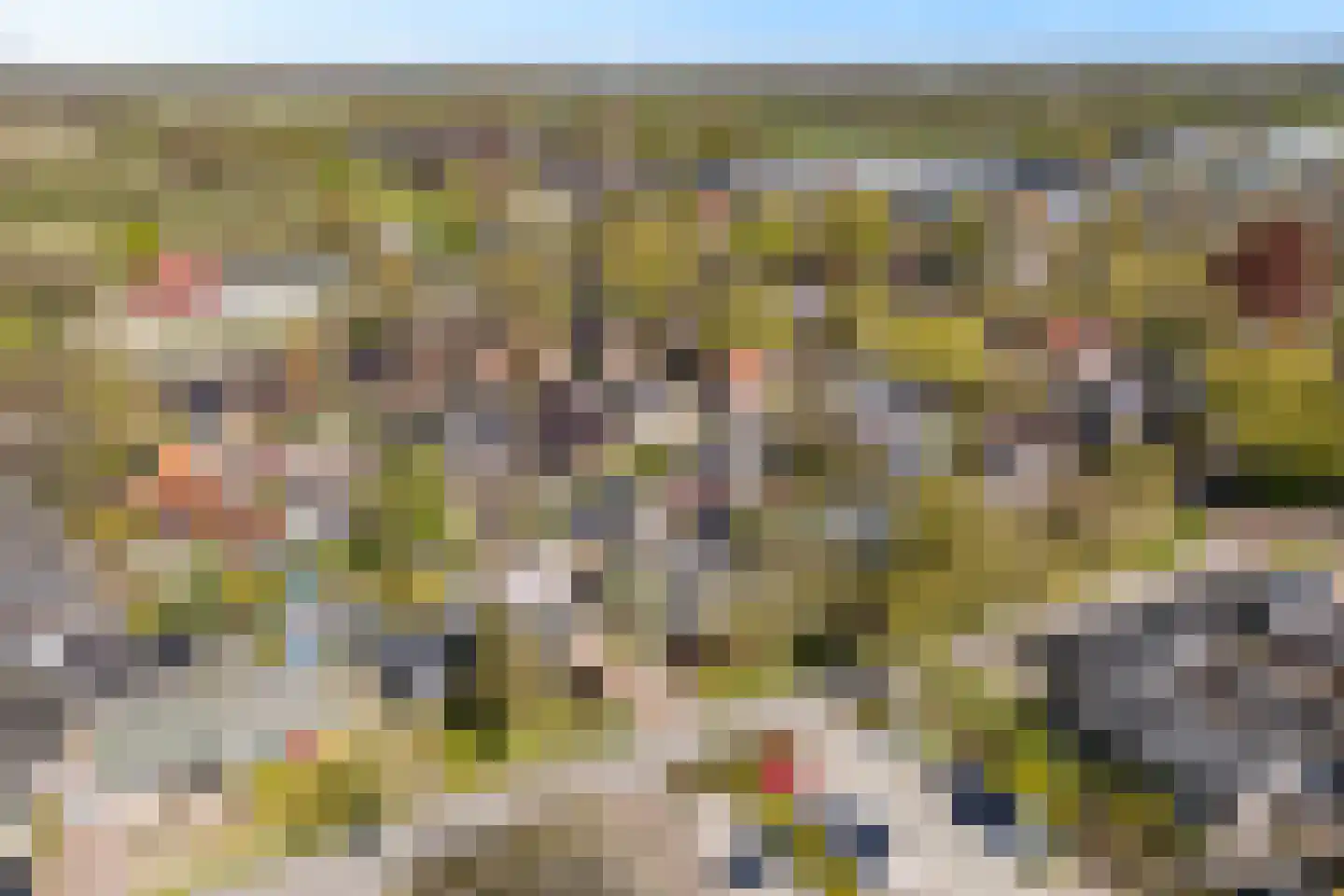 Berkenlaan 8 Buitenpost thumbnail 4