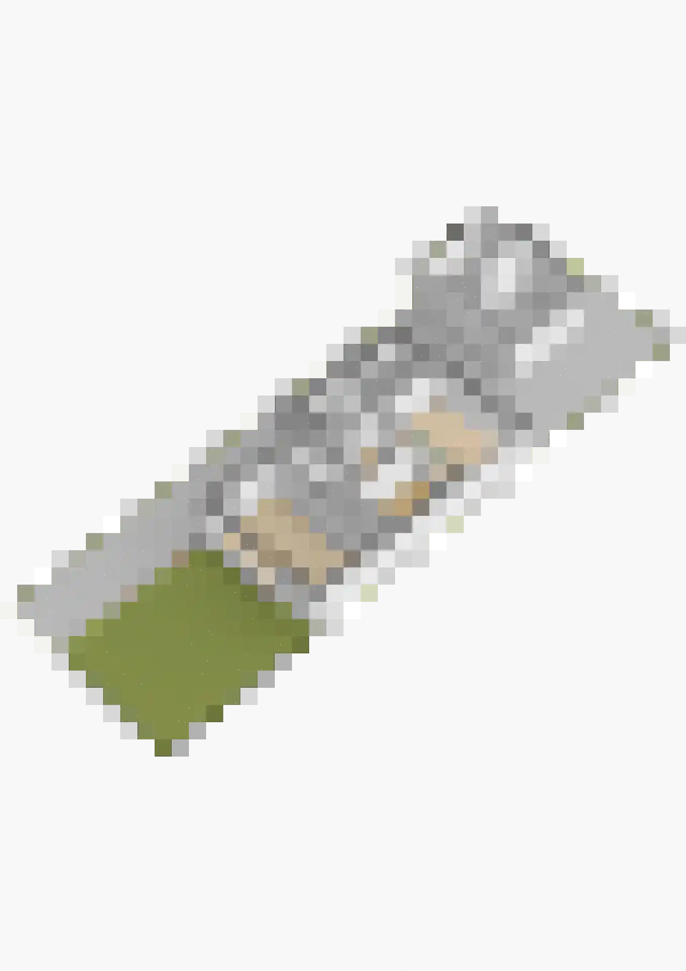 Berkenlaan 8 Buitenpost thumbnail 44