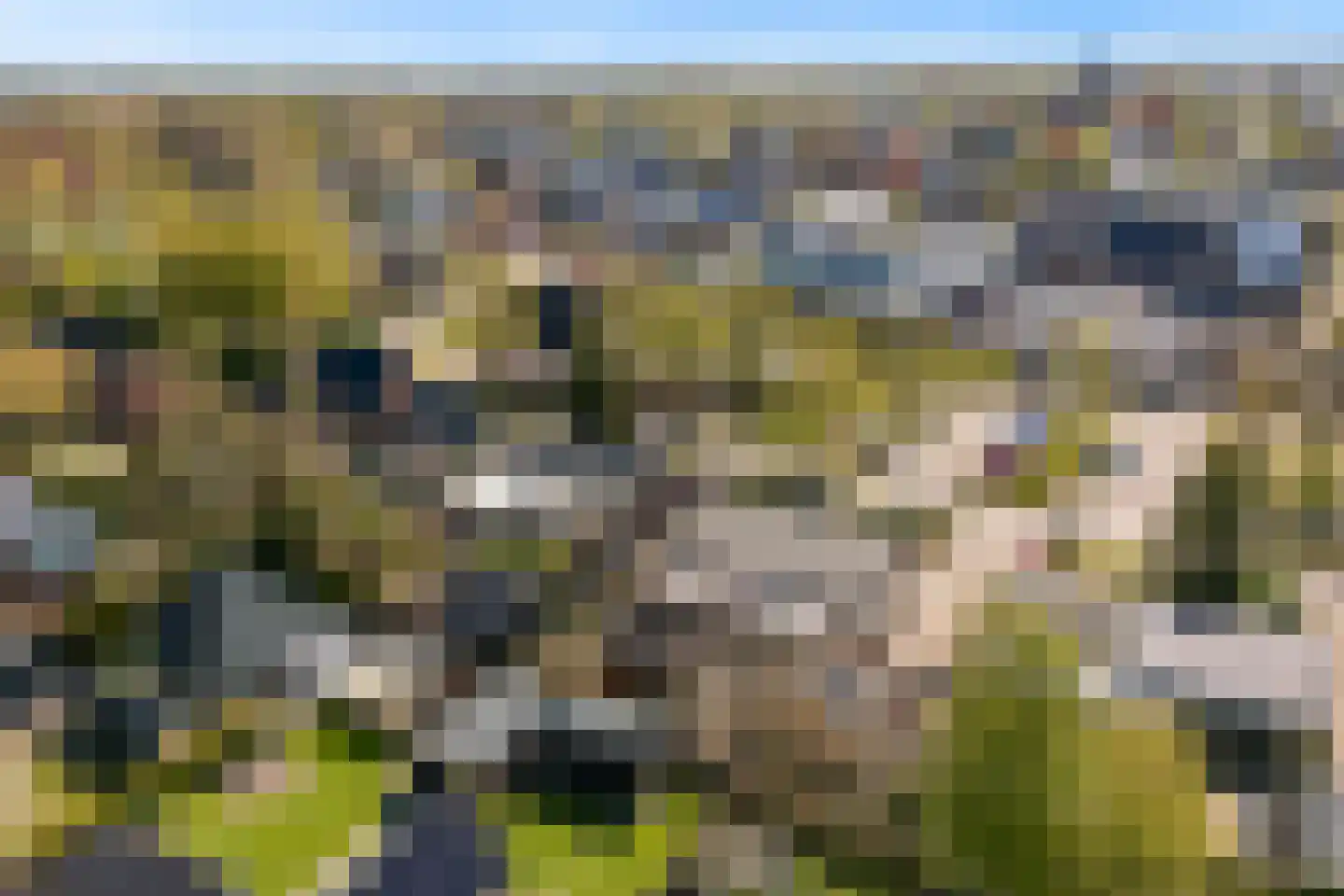 Berkenlaan 8 Buitenpost thumbnail 5