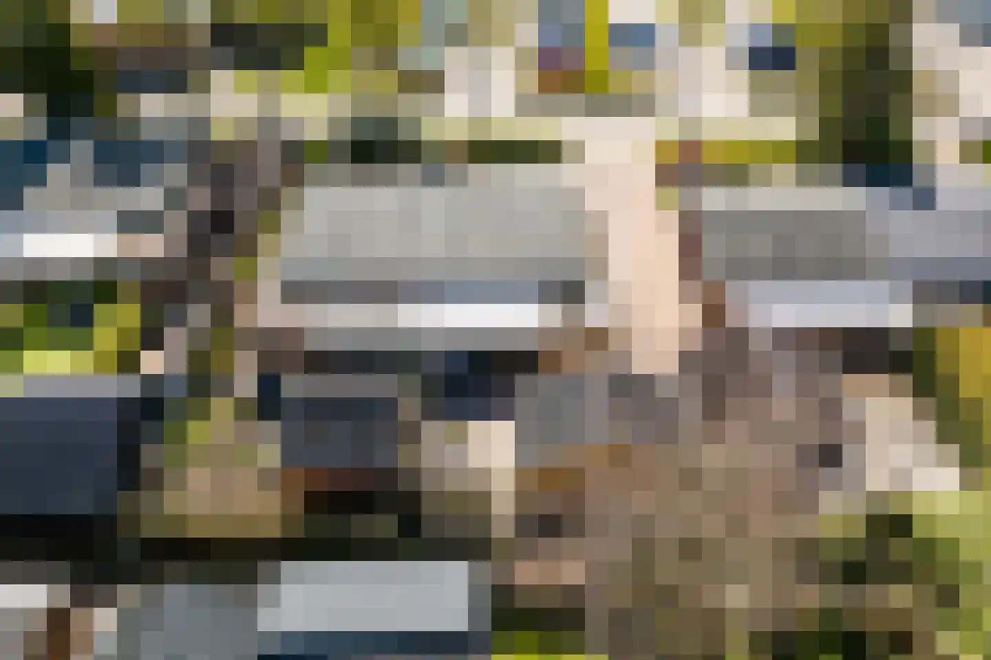 Berkenlaan 8 Buitenpost thumbnail 8