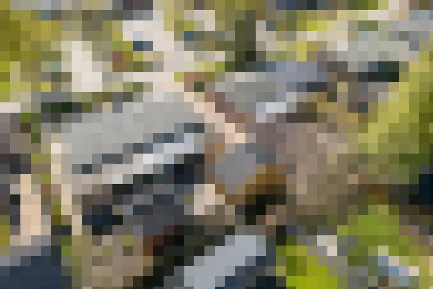 Berkenlaan 8 Buitenpost thumbnail 9