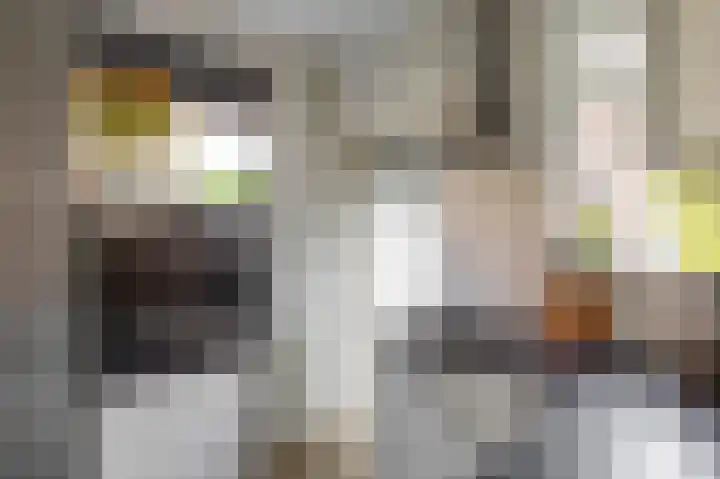 Berkenlaan 8 Haren Gn thumbnail 10